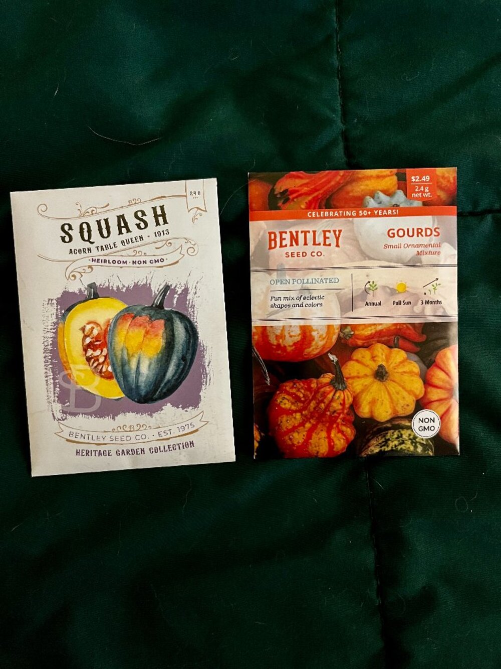 🍒 5/$25 🍒 FALL SEEDS | Queen Squash & Ornamental Gourds